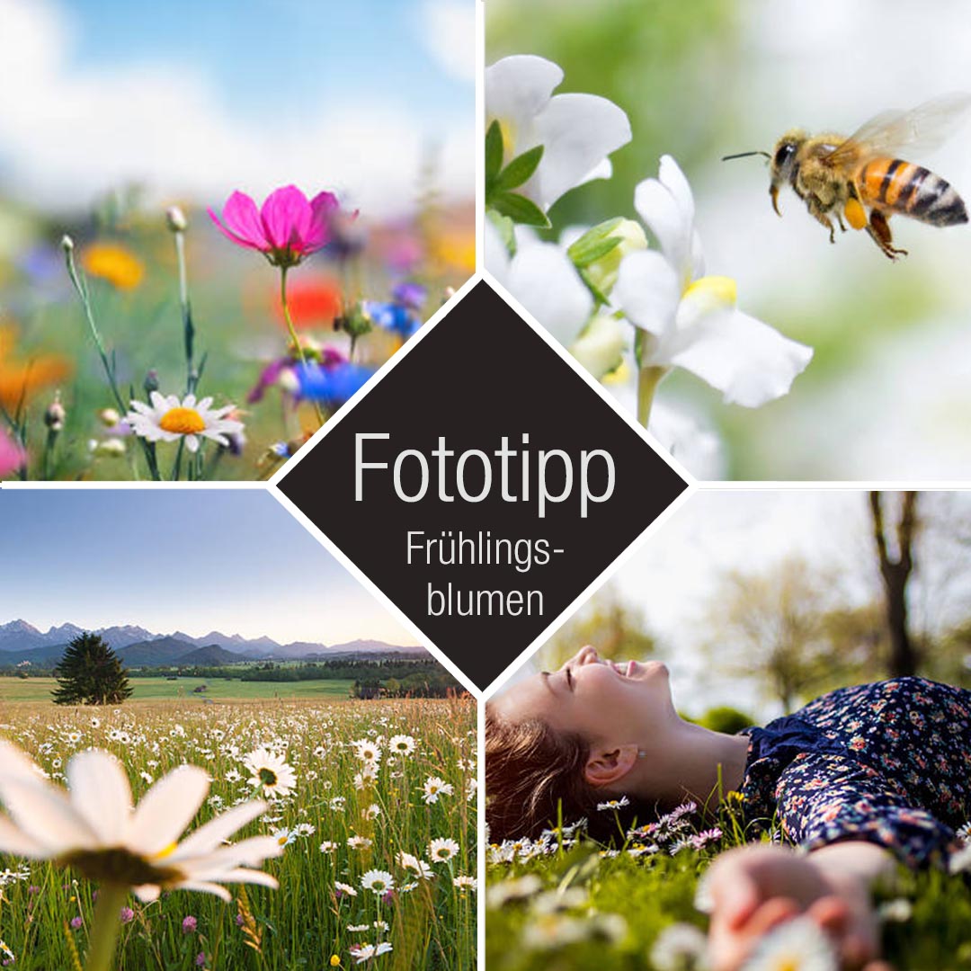 Fotografietipp Frühling