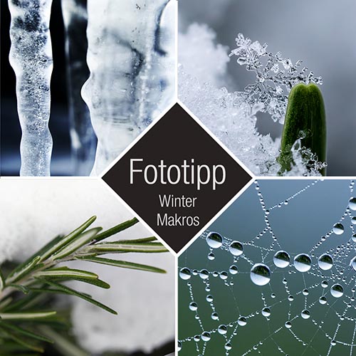 Fototipp Winter-Makros