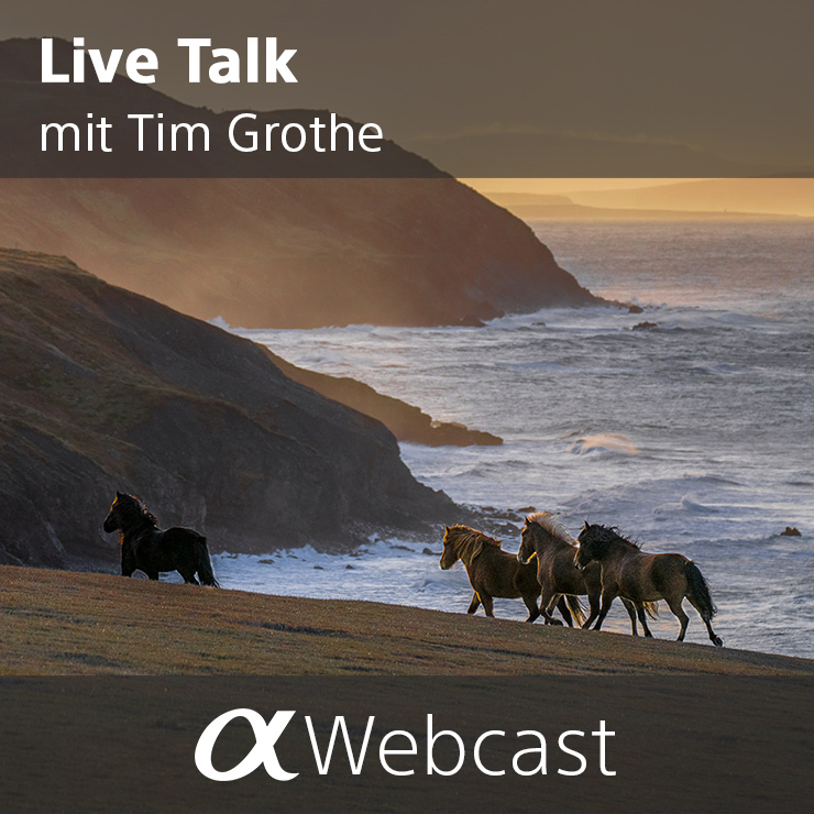 Sony Live Talks Tim Grothe