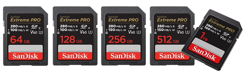 SanDisk Extreme PRO SDHC™- und SDXC™-UHS-I-Karte
