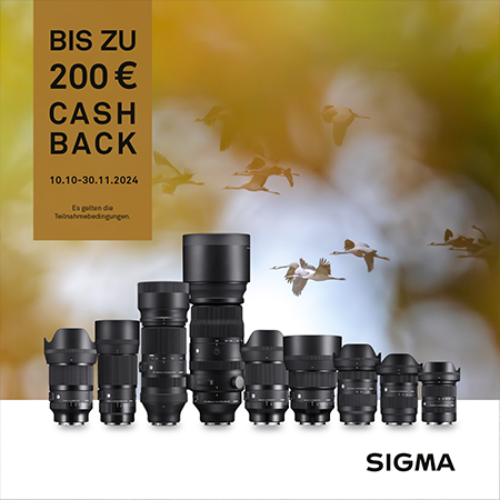 Sigma Cashback-Aktion