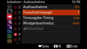 SONY alpha Aufnahmepegel & Timing