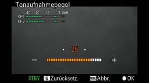 SONY alpha Aufnahmepegel & Timing