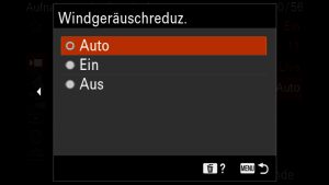 SONY alpha Aufnahmepegel & Timing