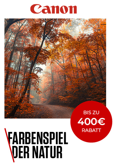 Canon-Autumn-Nature Canon Herbstaktion – Bis zu 400 € Rabatt auf ausgewählte Kameras und Objektive für beeindruckende Naturaufnahmen