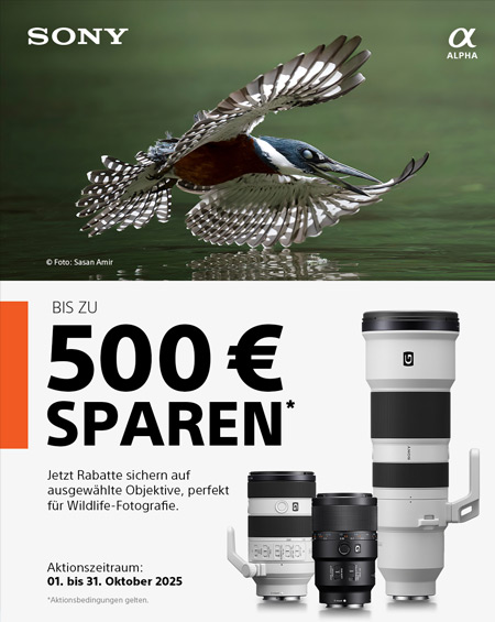 Sony Wildlife Aktion – Bis zu 500 € sparen! Sony Wildlife Aktion – bis zu 500 € sparen auf ausgewählte Teleobjektive für Natur- und Tierfotografie