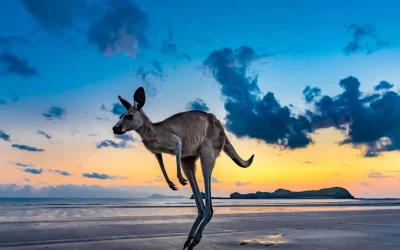 Australien live erleben